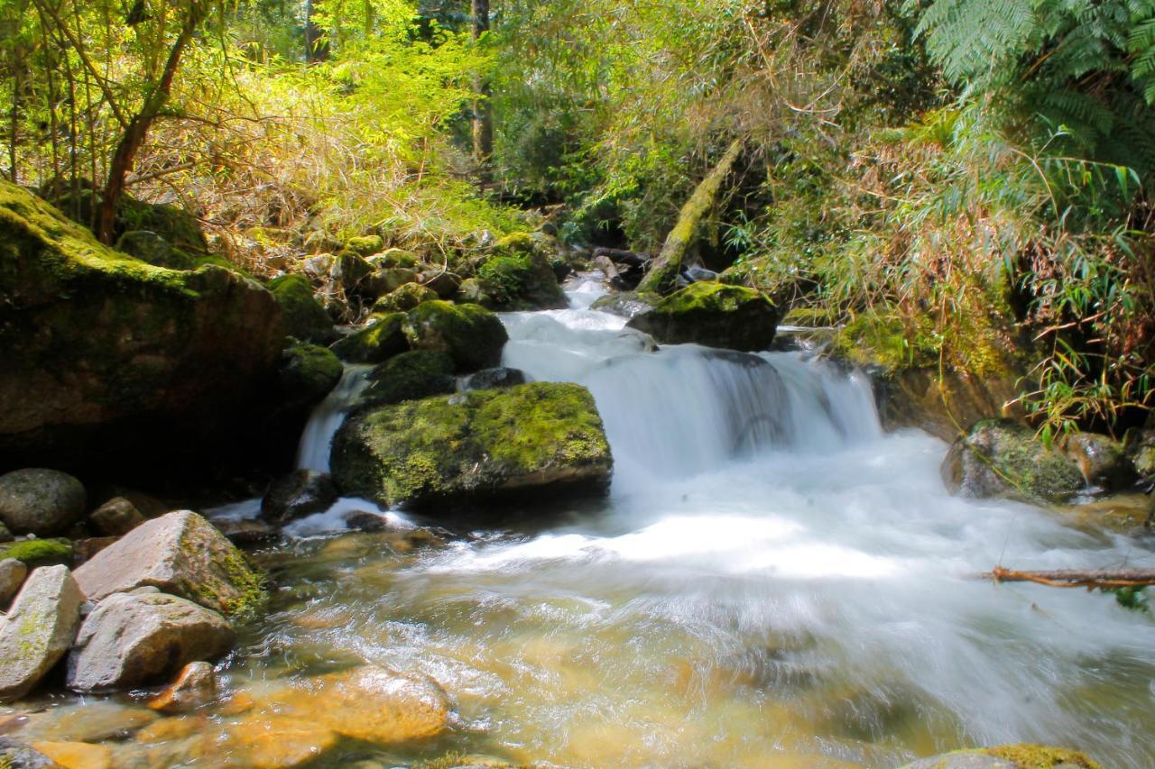 Hotel Natura Пеулья Экстерьер фото